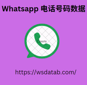 Whatsapp 电话号码数据 3