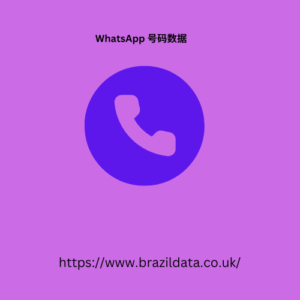 WhatsApp 号码数据