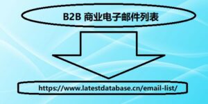 B2B 商业电子邮件列表